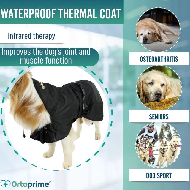 waterproof-thermal-dog-coat-back-on-track-size-21-22cm-23-24cm-25-26cm-27-28cm-29-30cm-31-33cm-34-36cm-37-39cm-40-42cm-43-45cm-46-48cm-49-51cm-52-54cm-55-58cm-59-62cm-63-66cm-67-69cm