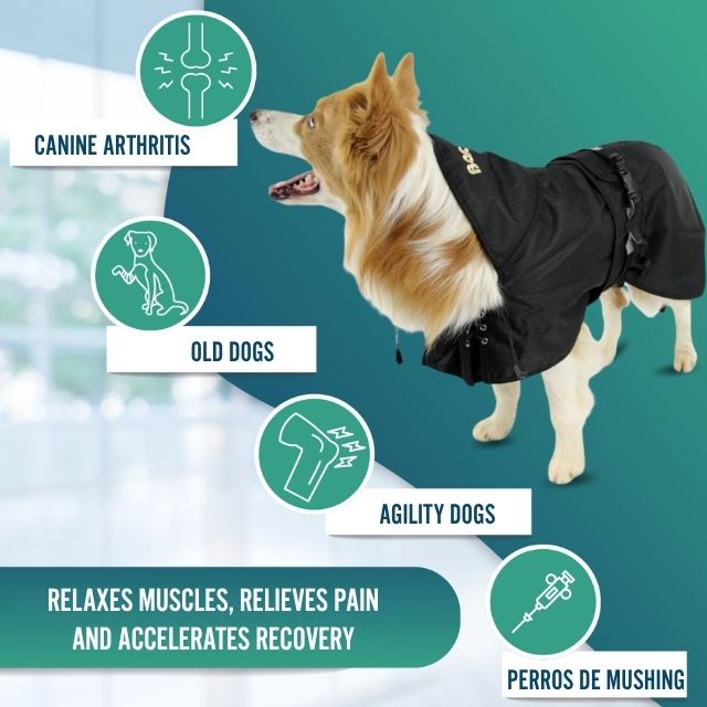 winter-thermal-dog-coat-waterproof-design-sizes-21-22cm-23-24cm-25-26cm-27-28cm-29-30cm-31-33cm-34-36cm-37-39cm-40-42cm-43-45cm-46-48cm-49-51cm-52-54cm-55-58cm-59-62cm-63-66cm-67-69cm